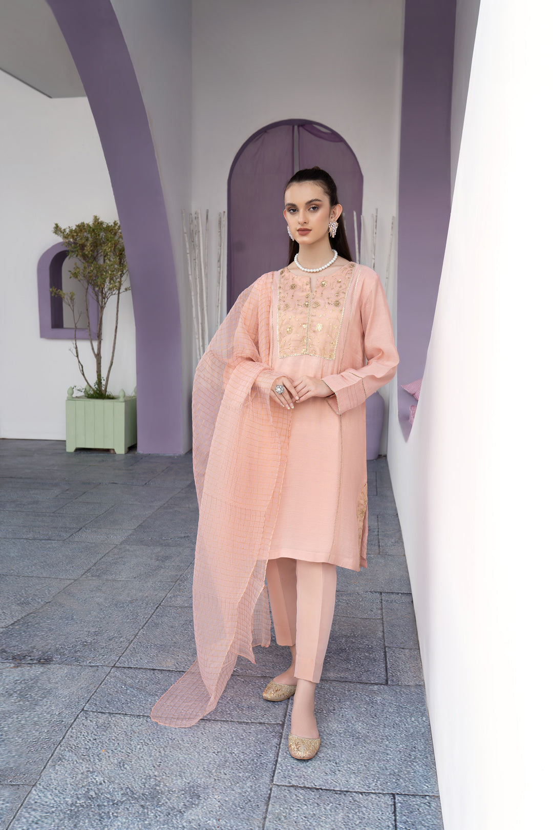 Eraj Hussain - Glitters Charm Coral Pink - Stitched