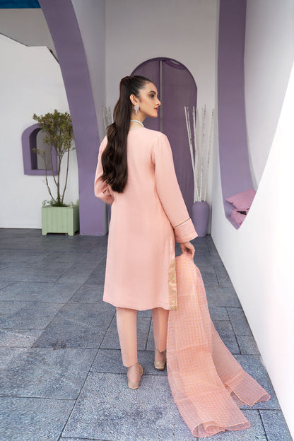 Eraj Hussain - Glitters Charm Coral Pink - Stitched