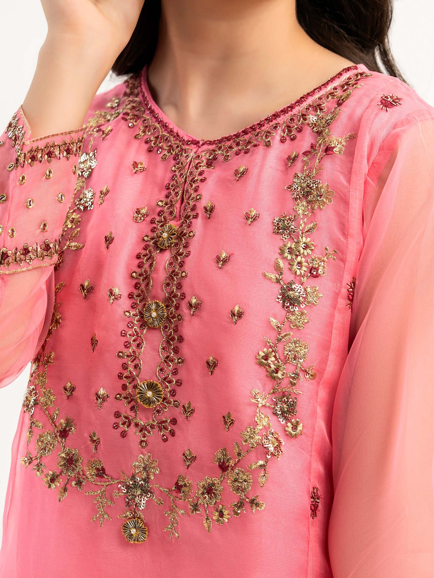 2 Piece Organza Suit-Embroidered