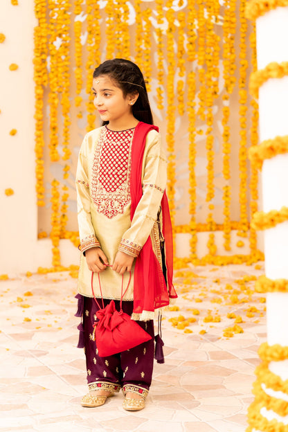 Adan's Libas - Embroidered Banarasi Suit