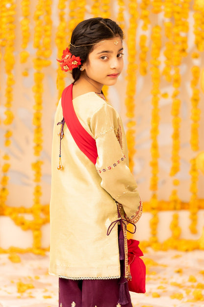 Adan's Libas - Embroidered Banarasi Suit