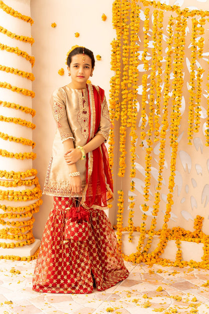 Adan's Libas - Embroidered Banarasi Suit