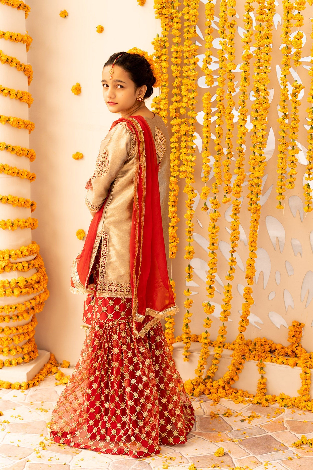 Adan's Libas - Embroidered Banarasi Suit