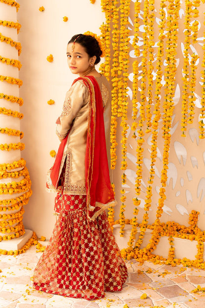 Adan's Libas - Embroidered Banarasi Suit