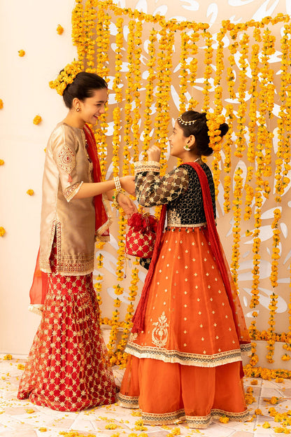 Adan's Libas - Embroidered Banarasi Suit