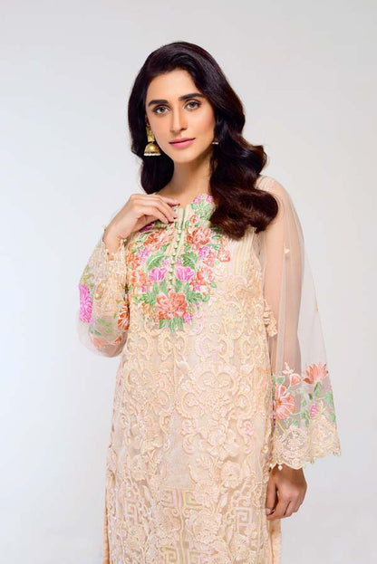 Adan's Libas - CHAMPAGNE – EMBROIDERED NET 2 PIECE (UNSTITCH)