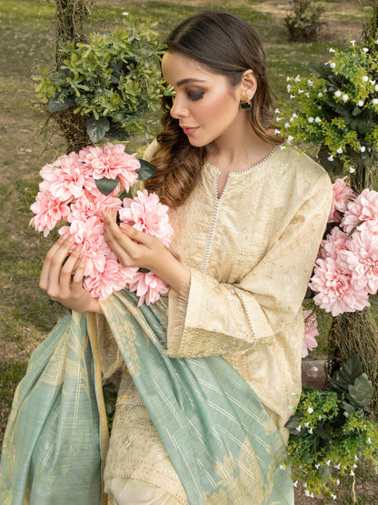 Limelight - 2 Piece Lawn Suit-Embroidered (Unstitched)