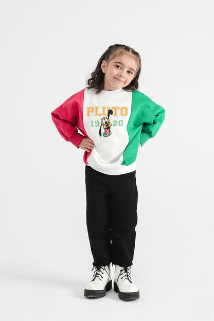 Ethnic - SWEATSHIRT (E0414/301/001)