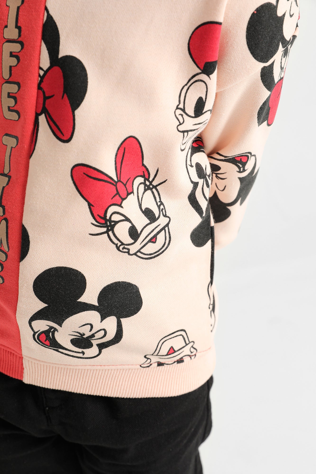 Ethnic - SWEATSHIRT (E0483/301/206)