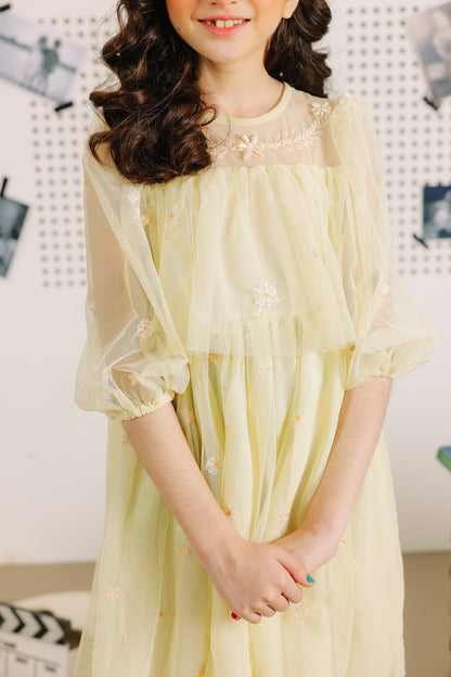 Ethnic - EMBROIDERED DRESS (E0757/401/115)