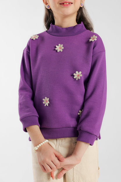 Ethnic - SWEATSHIRT (E0791/401/517)