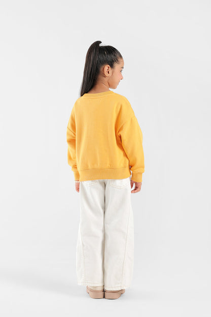 Ethnic - SWEATSHIRT (E0793/401/222)