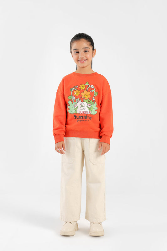 Ethnic - SWEATSHIRT (E0798/401/206)