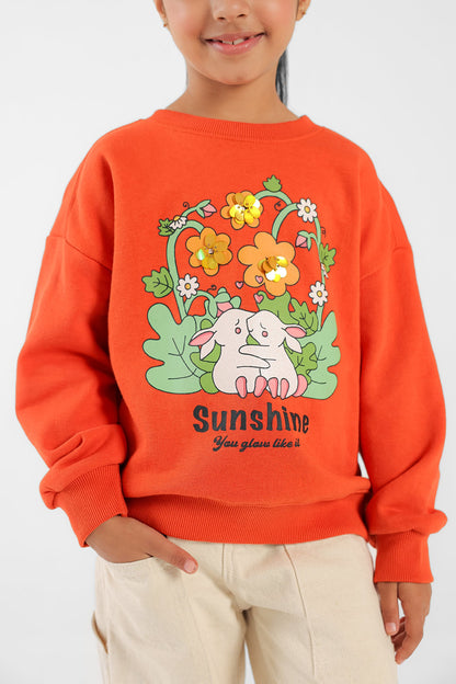 Ethnic - SWEATSHIRT (E0798/401/206)