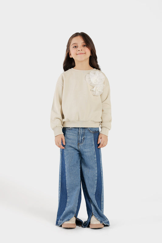 Ethnic - SWEATSHIRT (E0803/401/005)