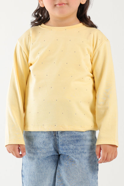 Ethnic - EMBELLISHED TOP (E0809/401/109)