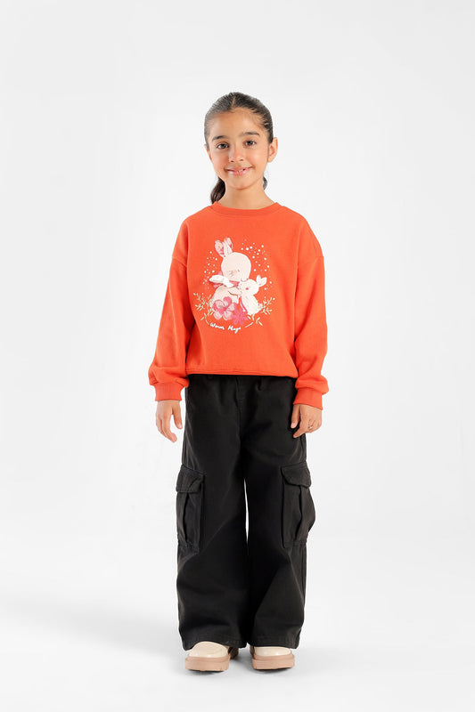 Ethnic - SWEATSHIRT (E0816/301/206)