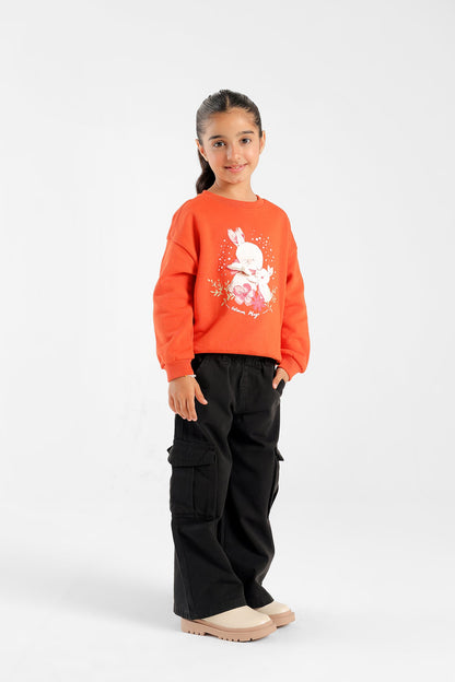 Ethnic - SWEATSHIRT (E0816/301/206)