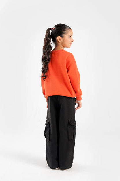 Ethnic - SWEATSHIRT (E0816/301/206)