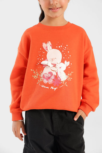 Ethnic - SWEATSHIRT (E0816/301/206)