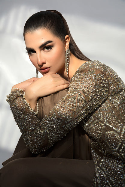 Ayesha Shoaib Malik - F22-036