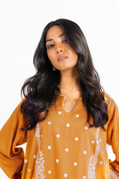 Dyed Raw Silk Kurti