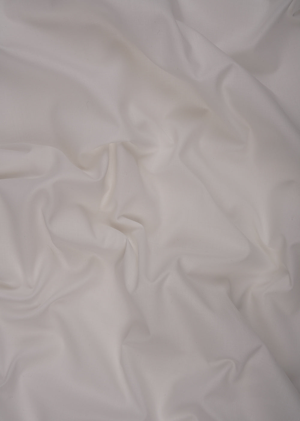 Evolution Egyptian Cotton