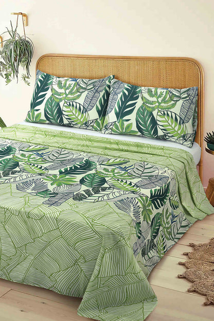Nishat Linen - Feuille Sheet Set