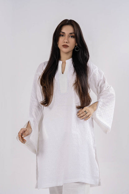 Dyed Chikan Kari Kurti