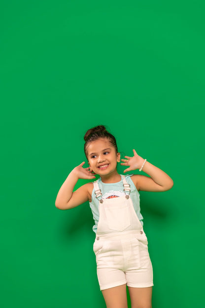 BTW - COMFORT STRETCH OVERALLS