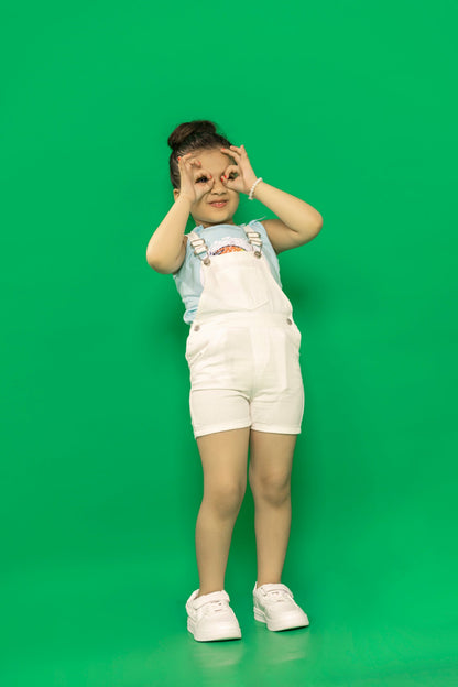 BTW - COMFORT STRETCH OVERALLS