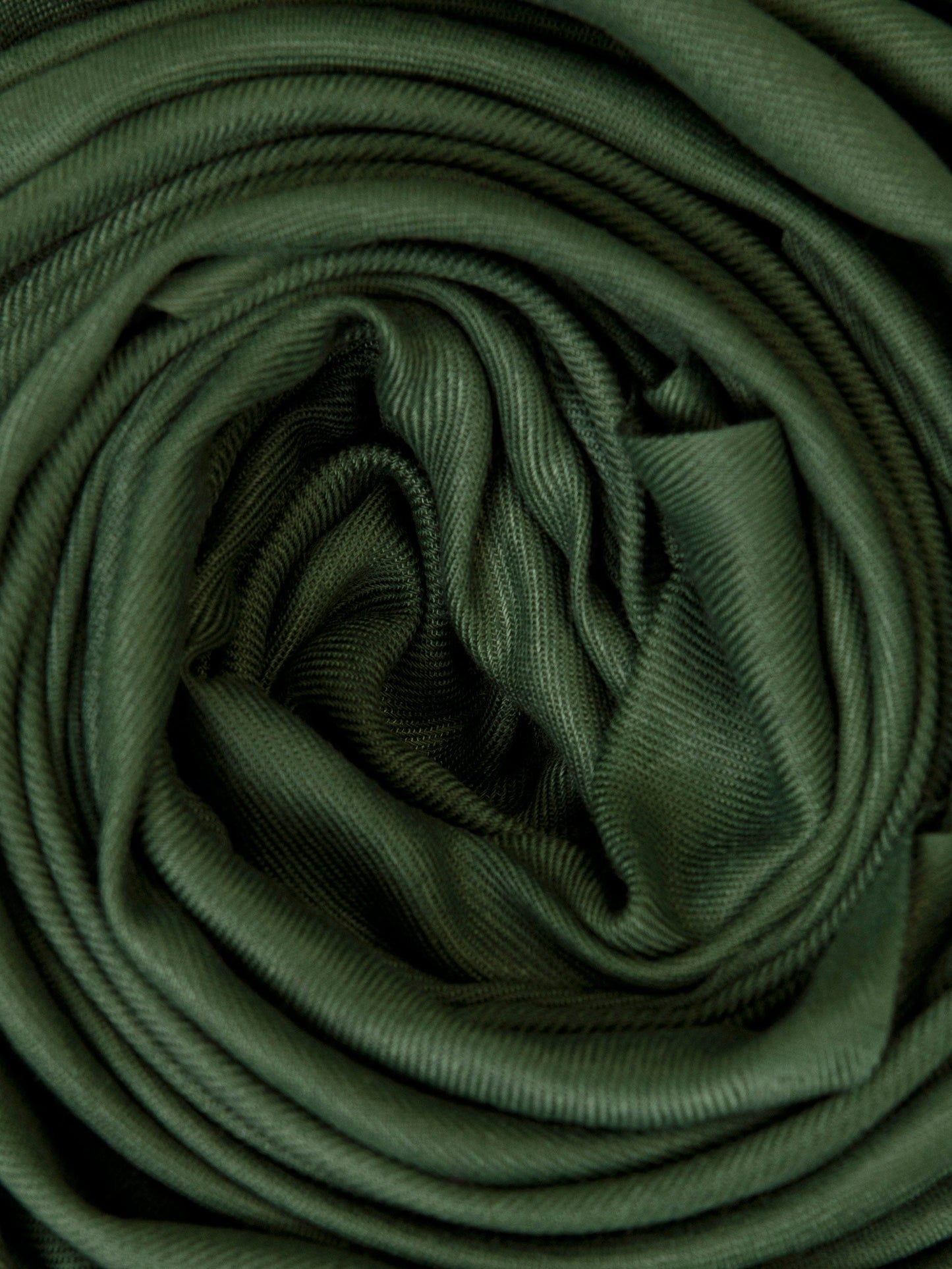 Embellished Woolen Shawl