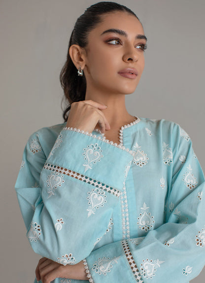 Sky Blue Chikan Kurta