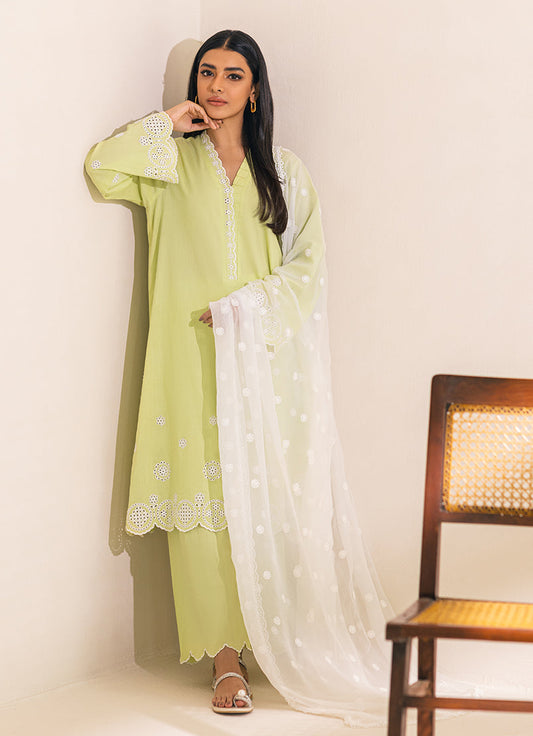 Chiffon Lace Dupatta