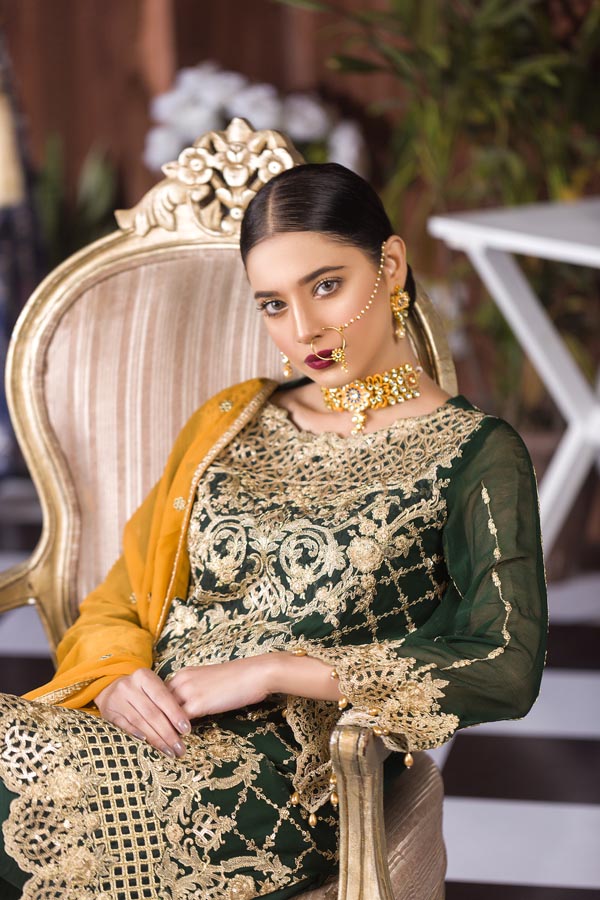 Adan's Libas - Spring Lime - Luxury Embroidered Chiffon