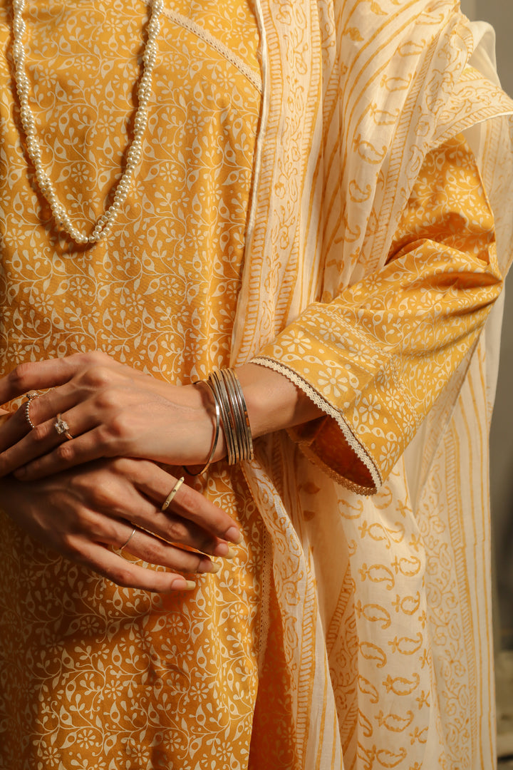 Eraj Hussain - Sonehri Ambi