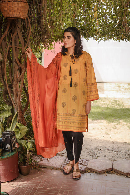 Eraj Hussain - Shajar-e-Rimz