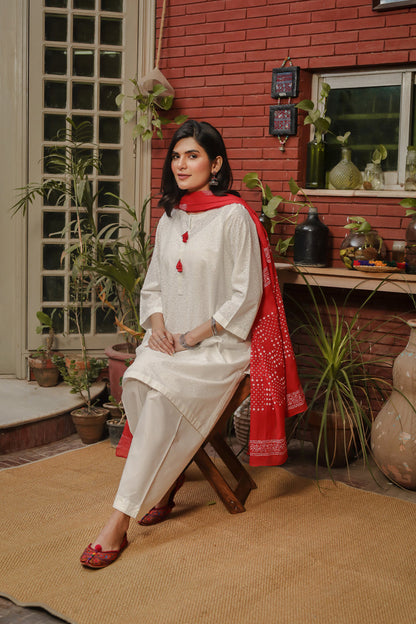 Eraj Hussain - Bandhani Chaap