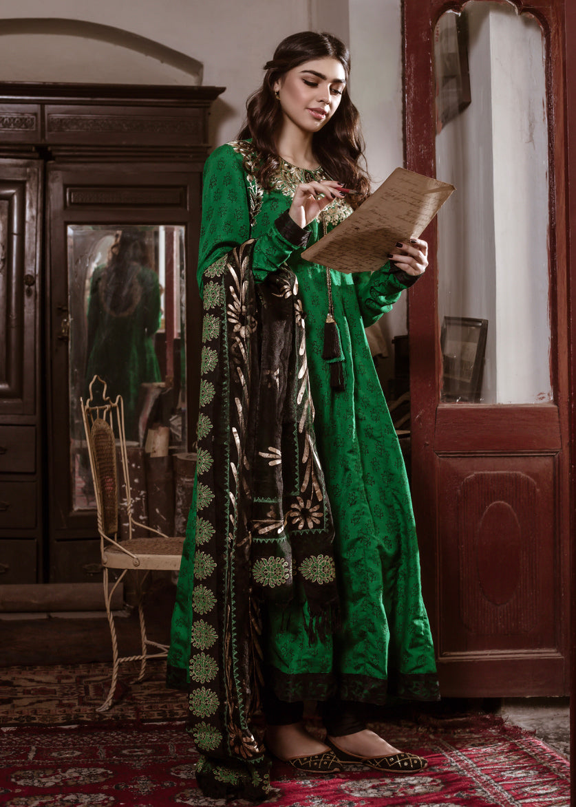 Eraj Hussain - ASIIR