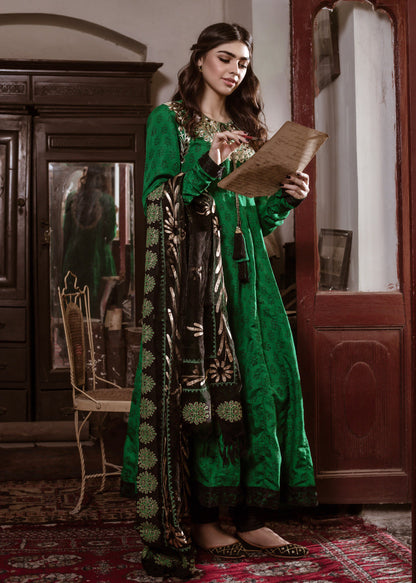 Eraj Hussain - ASIIR