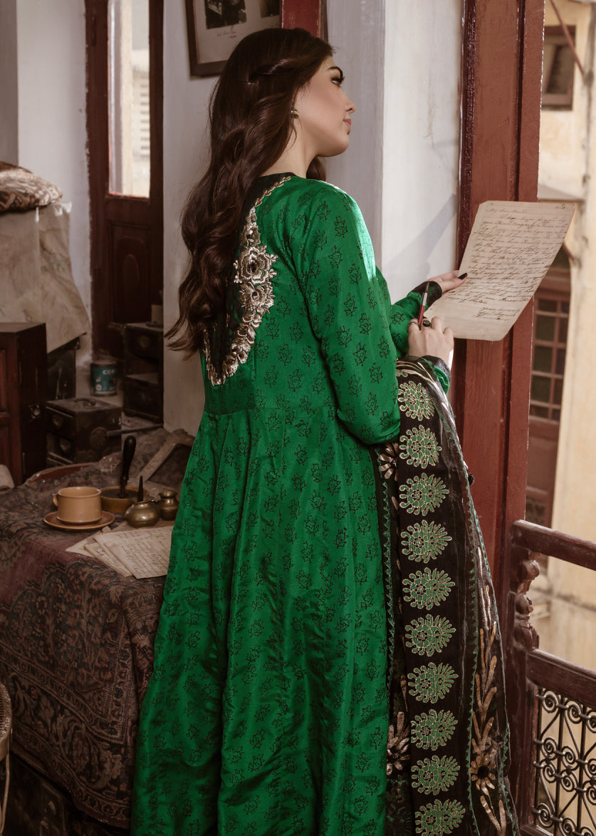 Eraj Hussain - ASIIR