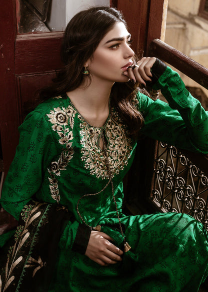 Eraj Hussain - ASIIR