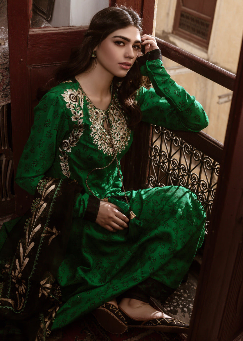Eraj Hussain - ASIIR