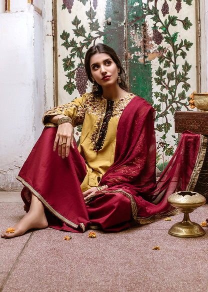Eraj Hussain - TAMANNA