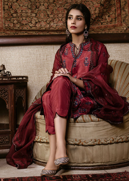 Eraj Hussain - TABEER