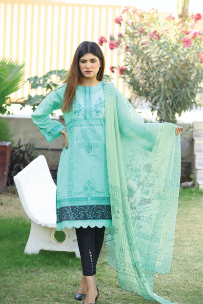 Bareeq Outfits - Light Green Printed 2 pcs
