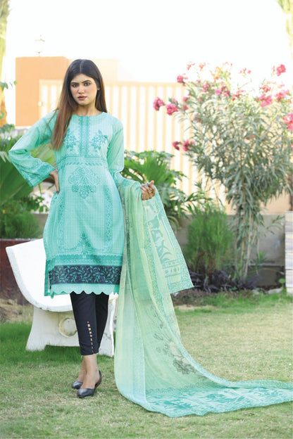Bareeq Outfits - Light Green Printed 2 pcs