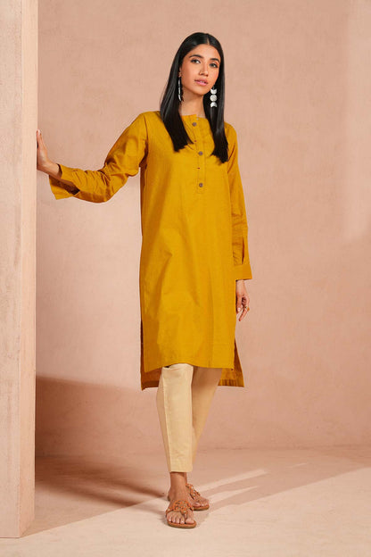 Dyed Chikan Kari Kurti