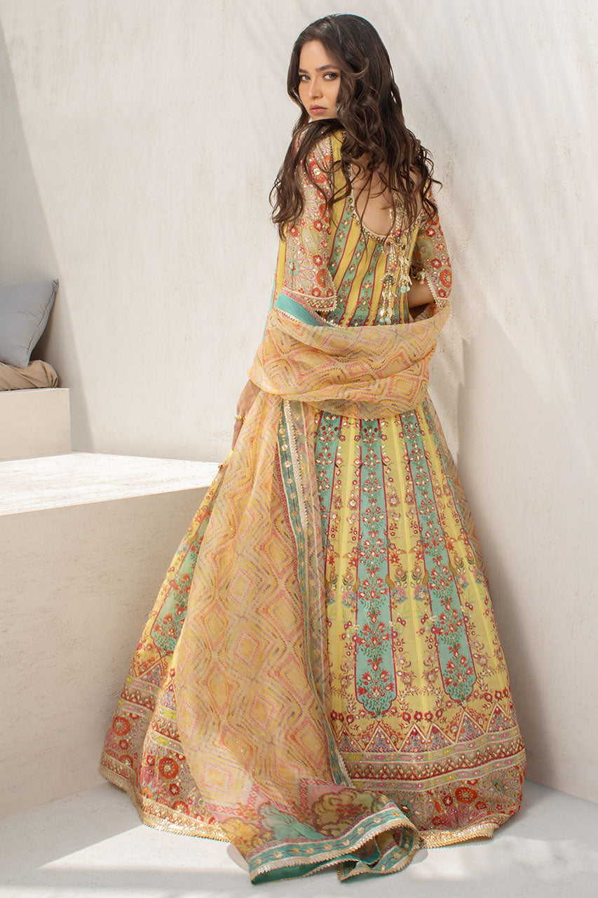 Lemon And Celadon Printed Cotton Net Peshwas With Printed Organza Dupatta