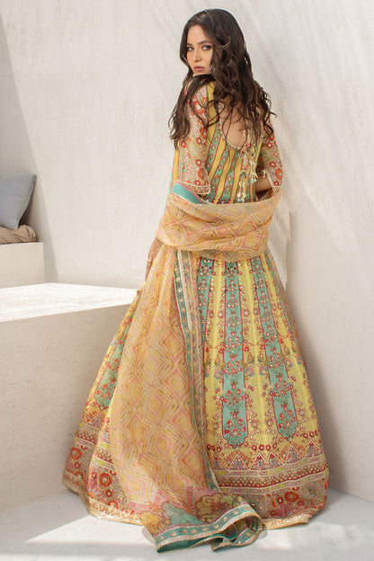 Lemon And Celadon Printed Cotton Net Peshwas With Printed Organza Dupatta